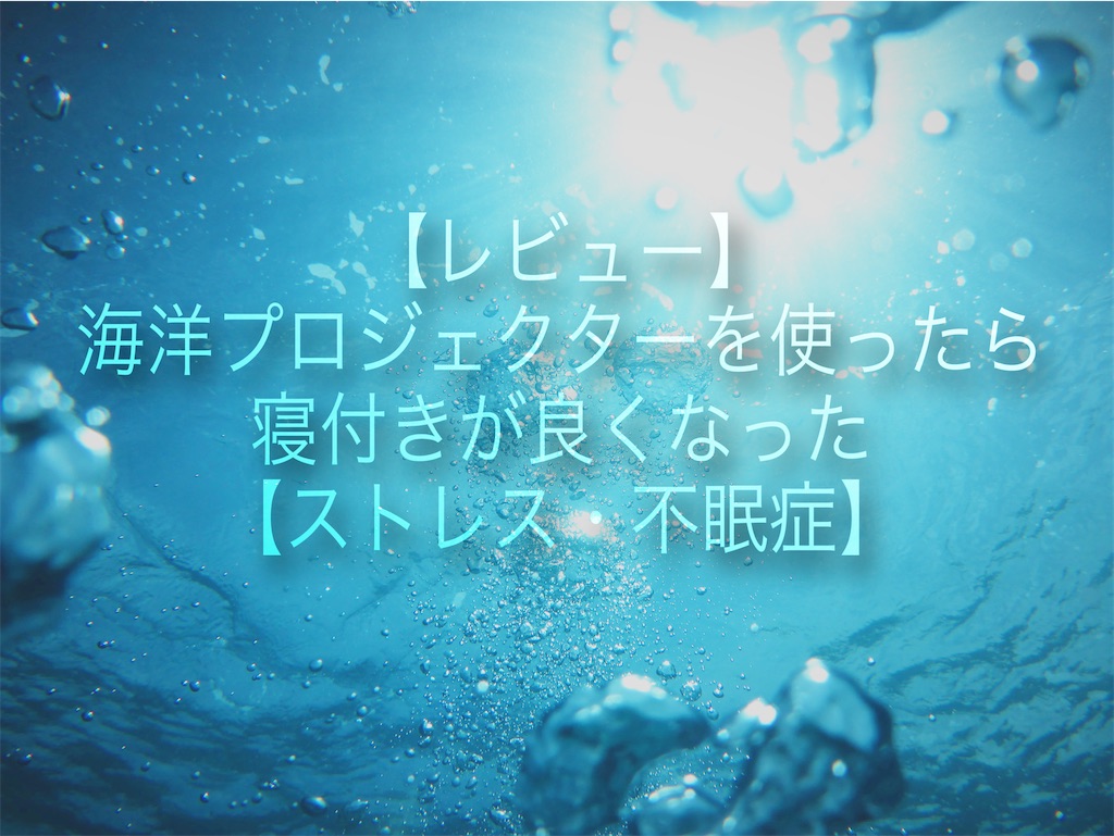 f:id:dietdreamchan:20210829140323j:plain