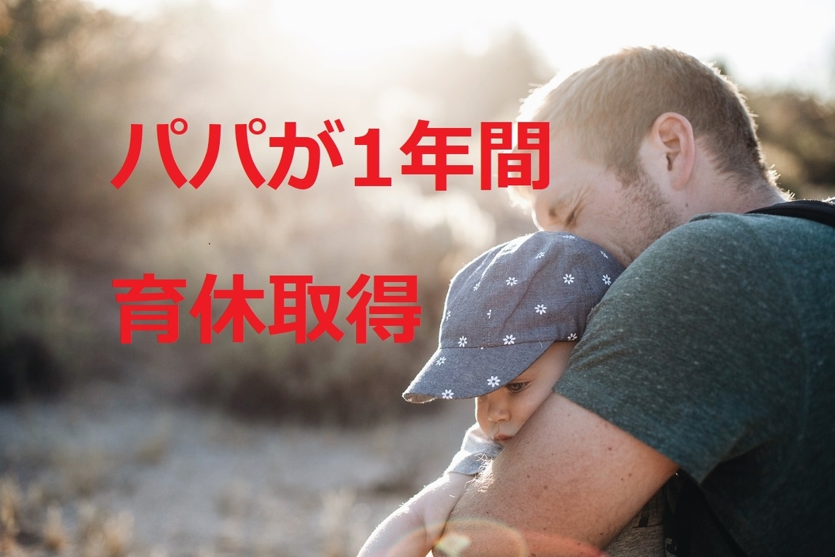 f:id:dietpapa:20190509170825j:plain f:id:dietpapa:20190509170825j:plain