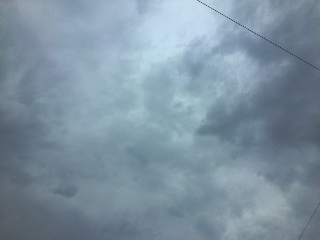 f:id:dietrunner:20161121123354j:plain