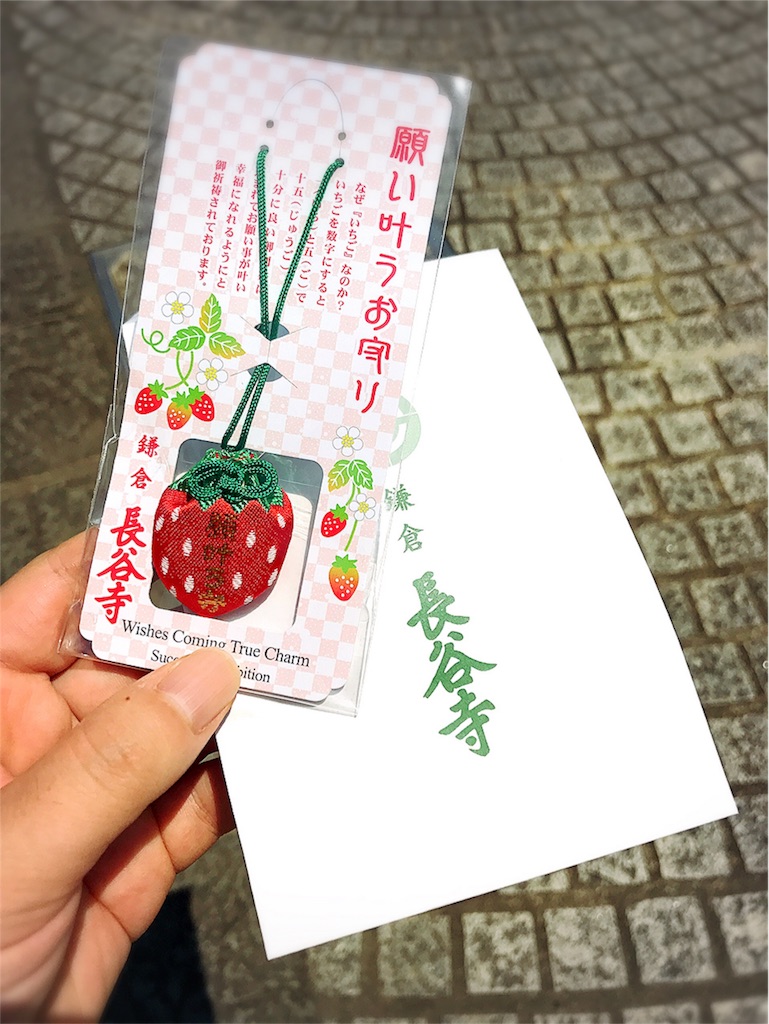 f:id:dietseikoubanzai:20190105013736j:image