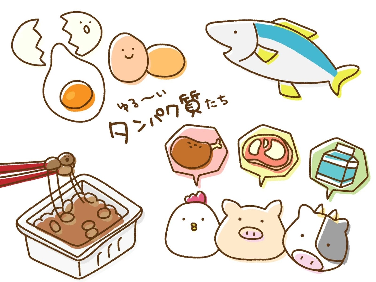 f:id:dietsupport116:20191025064829j:plain