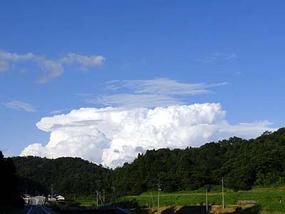 イメージ 9