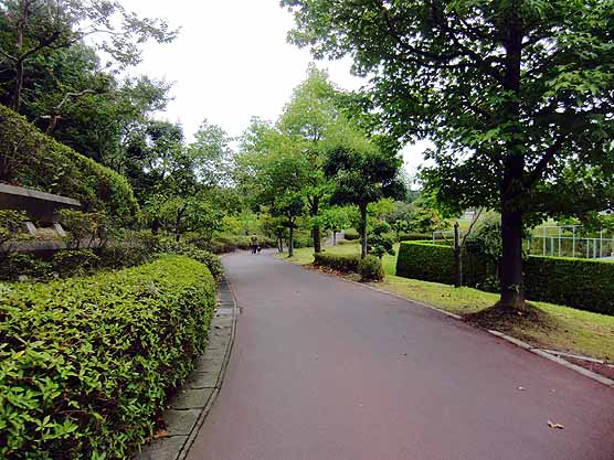 イメージ 13
