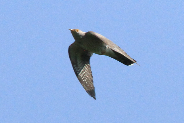 20100601182446