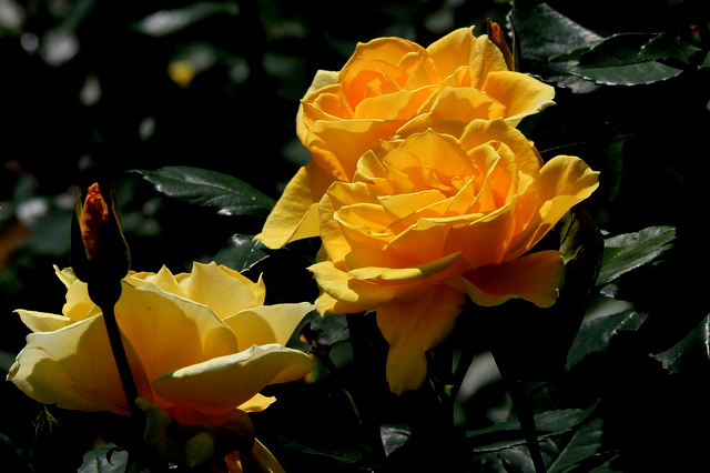 20100603001630