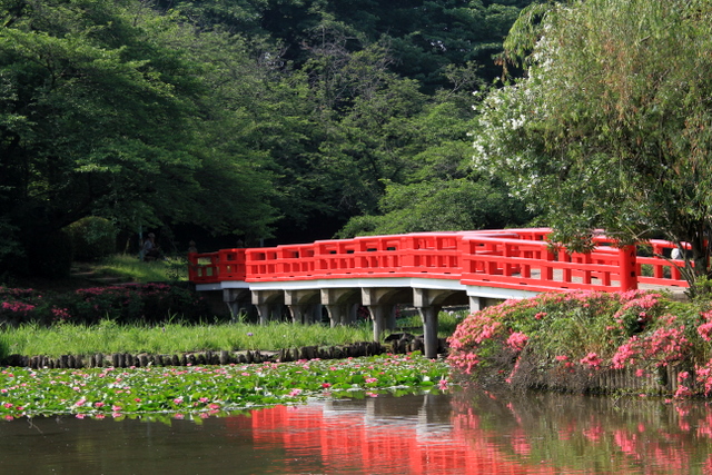 f:id:digibirds:20100613001010j:image