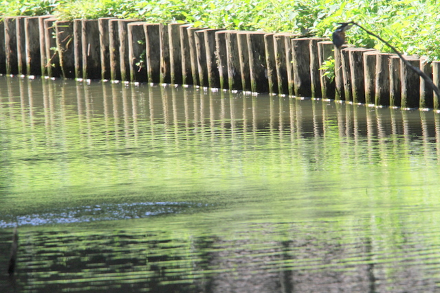 f:id:digibirds:20100622045942j:image