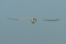 20110710205837