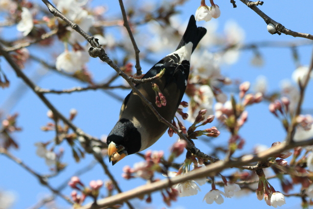 20120409171434