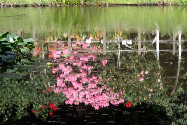 f:id:digibirds:20120609054610j:image