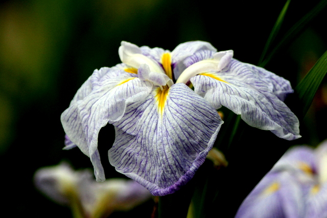 f:id:digibirds:20120629000305j:image