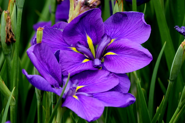 f:id:digibirds:20120629000308j:image