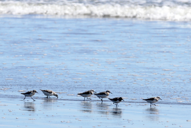 f:id:digibirds:20120825205459j:image