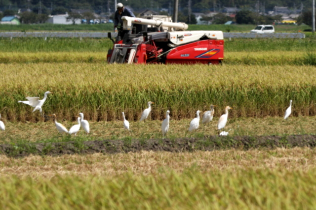 f:id:digibirds:20120830013329j:image f:id:digibirds:20120830013329j:image