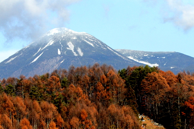 f:id:digibirds:20121125145217j:image