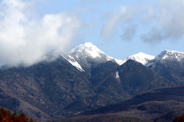 f:id:digibirds:20121125145219j:image
