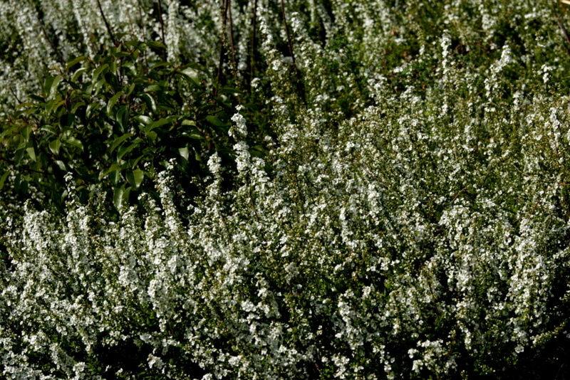 f:id:digibirds:20130325055012j:image