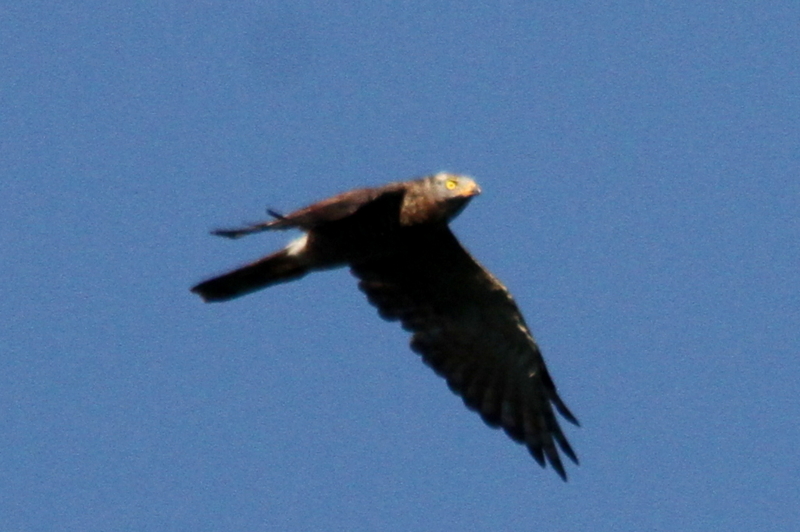 20130922173213