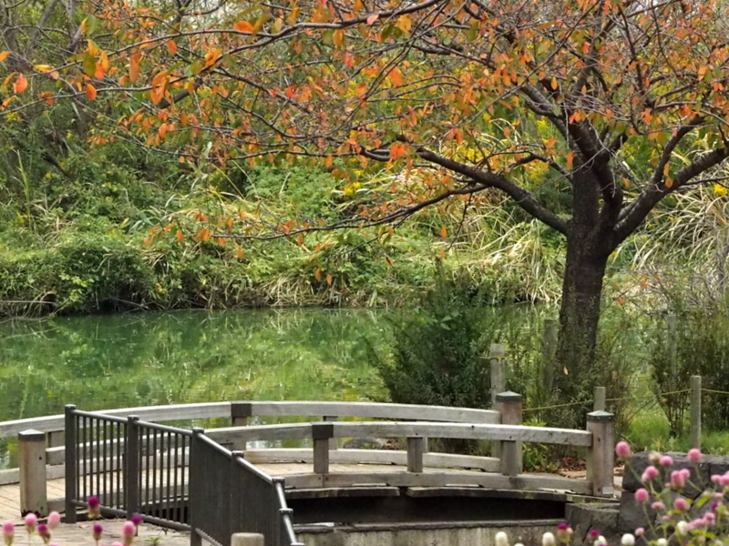 f:id:digibirds:20131015194020j:image
