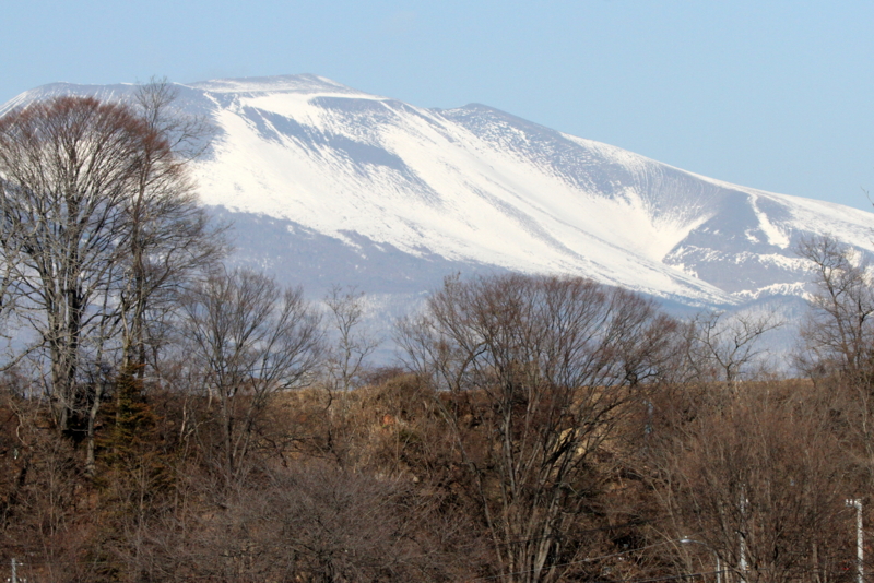 f:id:digibirds:20140120165747j:image