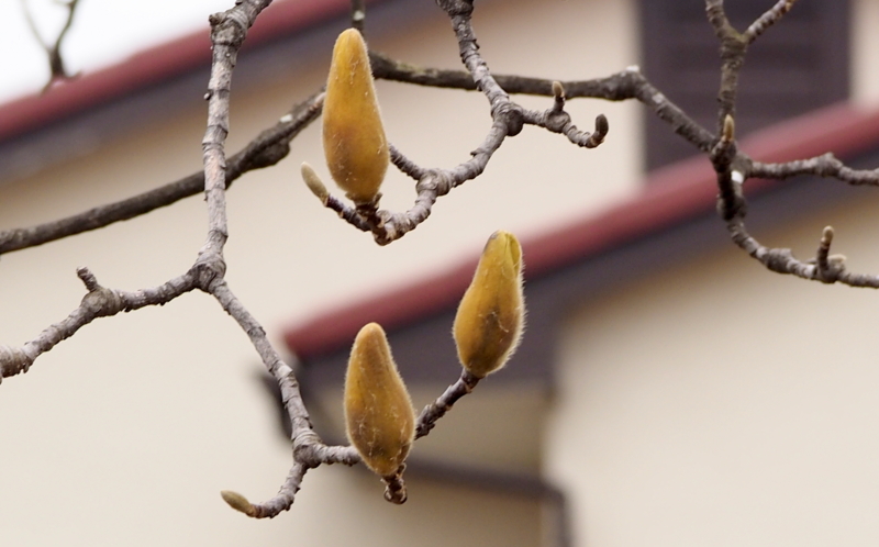 20140314162654