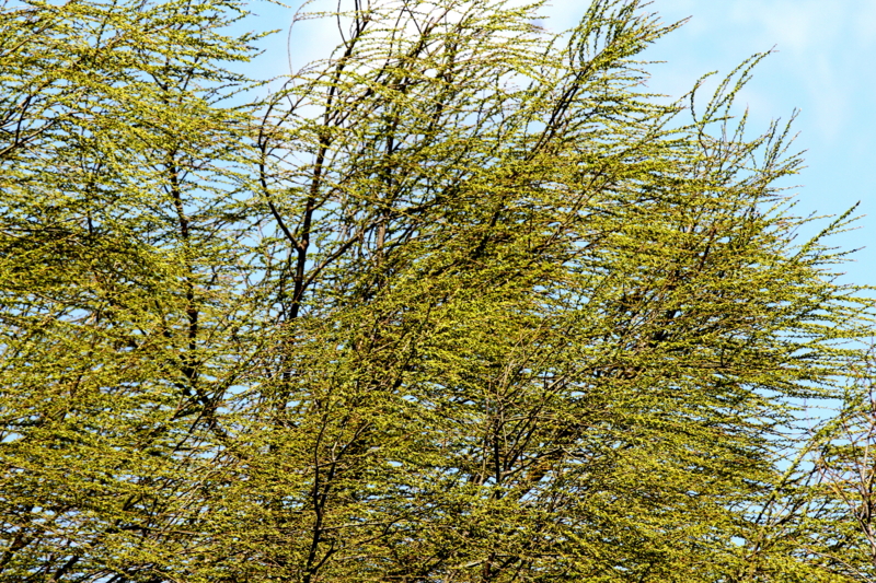 20140321232655