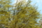 20140321234201