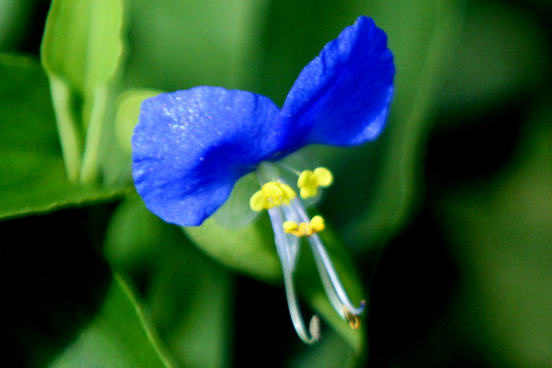 f:id:digibirds:20140914181459j:image