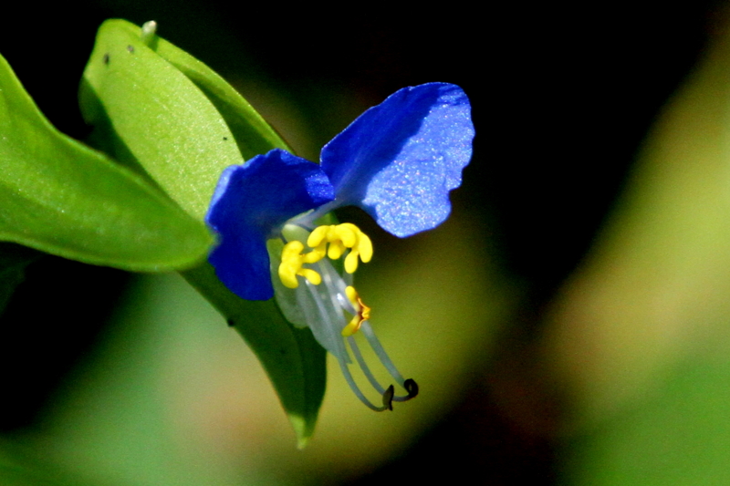 f:id:digibirds:20140914181506j:image