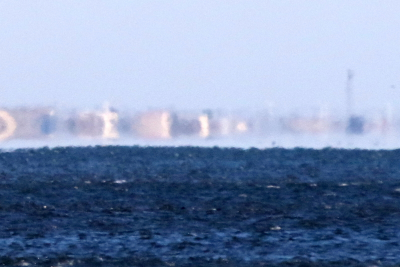 f:id:digibirds:20150120131240j:image f:id:digibirds:20150120131240j:image