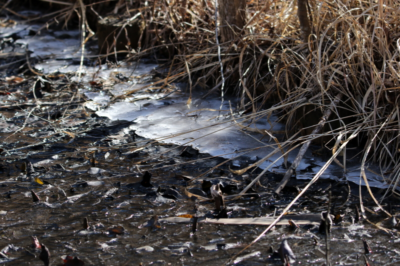 f:id:digibirds:20150214183654j:image