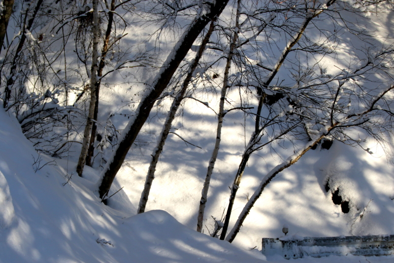 f:id:digibirds:20150219193920j:image f:id:digibirds:20150219193920j:image