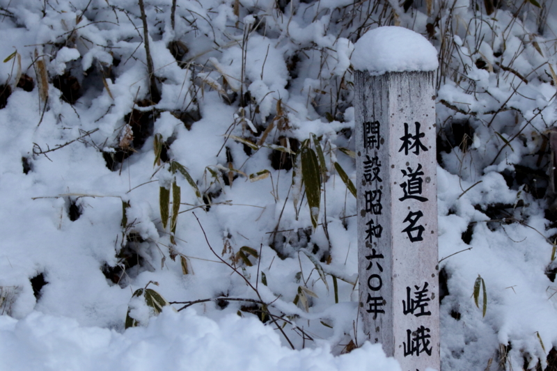 f:id:digibirds:20150219193949j:image f:id:digibirds:20150219193949j:image