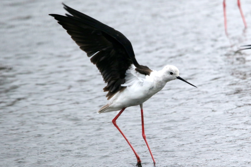 f:id:digibirds:20150405181713j:image f:id:digibirds:20150405181713j:image
