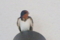 20150712110931
