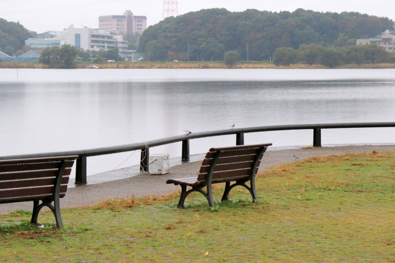 f:id:digibirds:20151111175429j:image