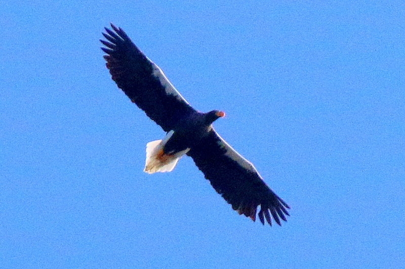 20160226191149