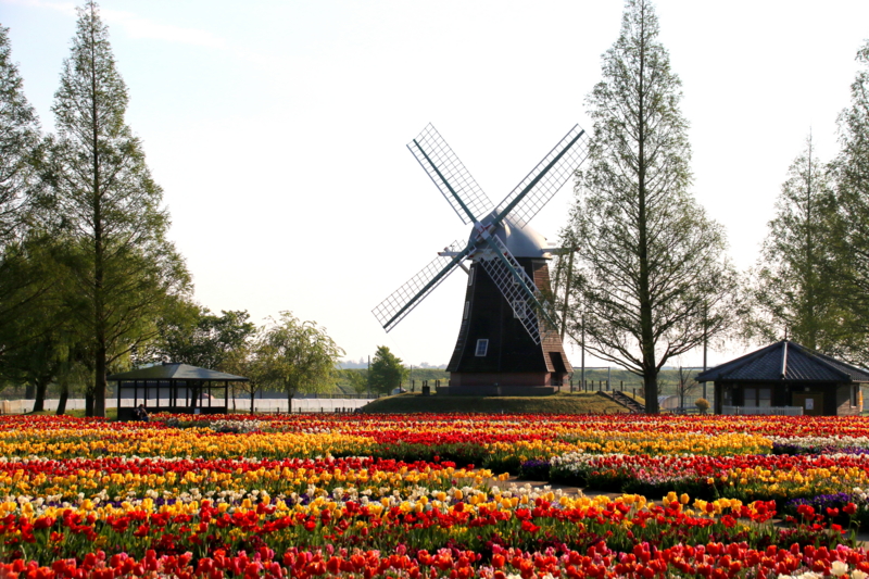 f:id:digibirds:20170424142509j:image