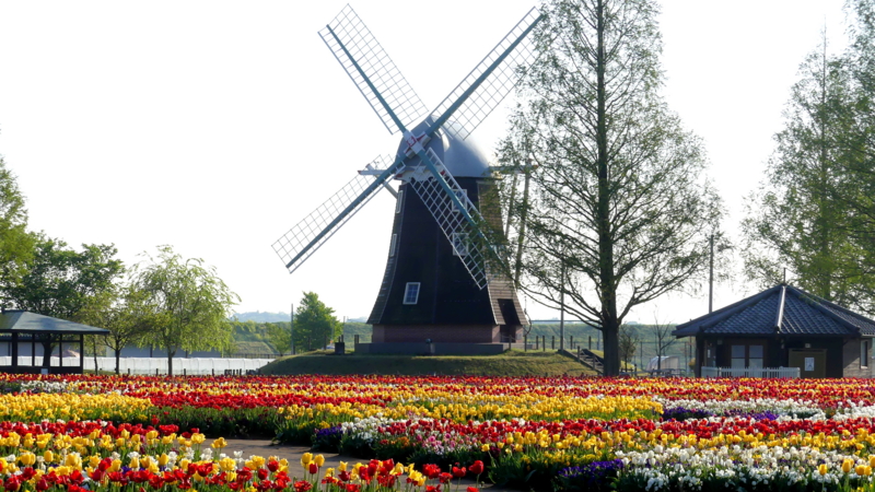 f:id:digibirds:20170424144610j:image