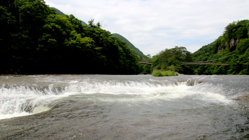 f:id:digibirds:20190622232807j:plain