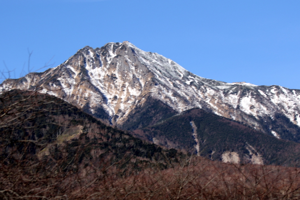 f:id:digibirds:20191214155408j:plain