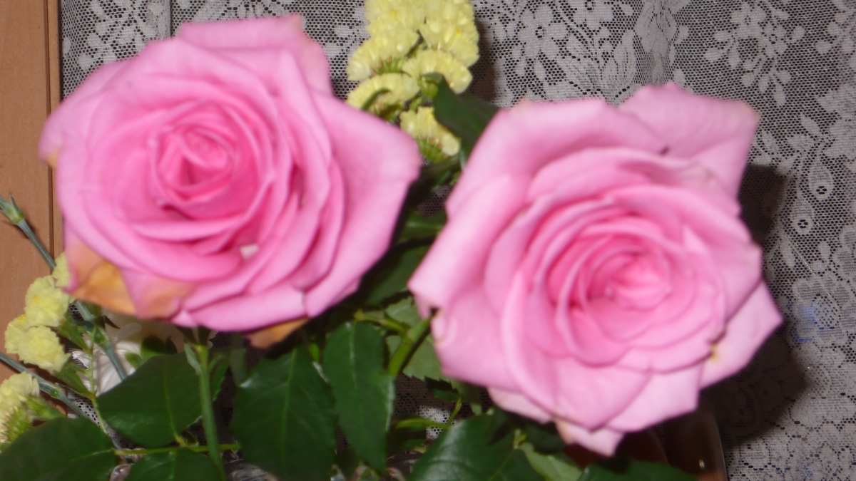 f:id:digibirds:20200401180558j:plain