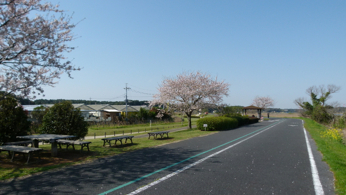 f:id:digibirds:20200403120623j:plain