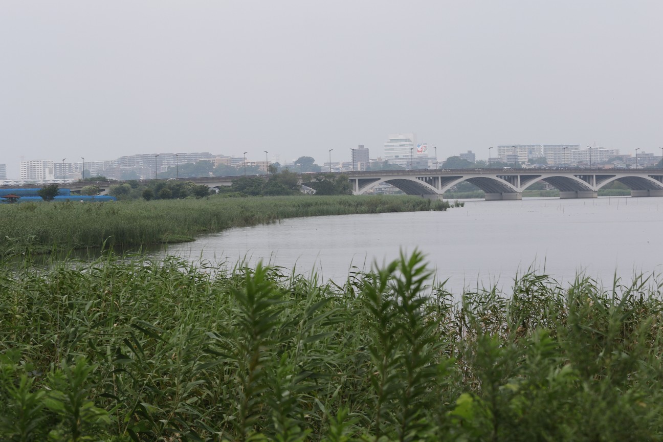 f:id:digibirds:20200719131951j:image f:id:digibirds:20200719131951j:image