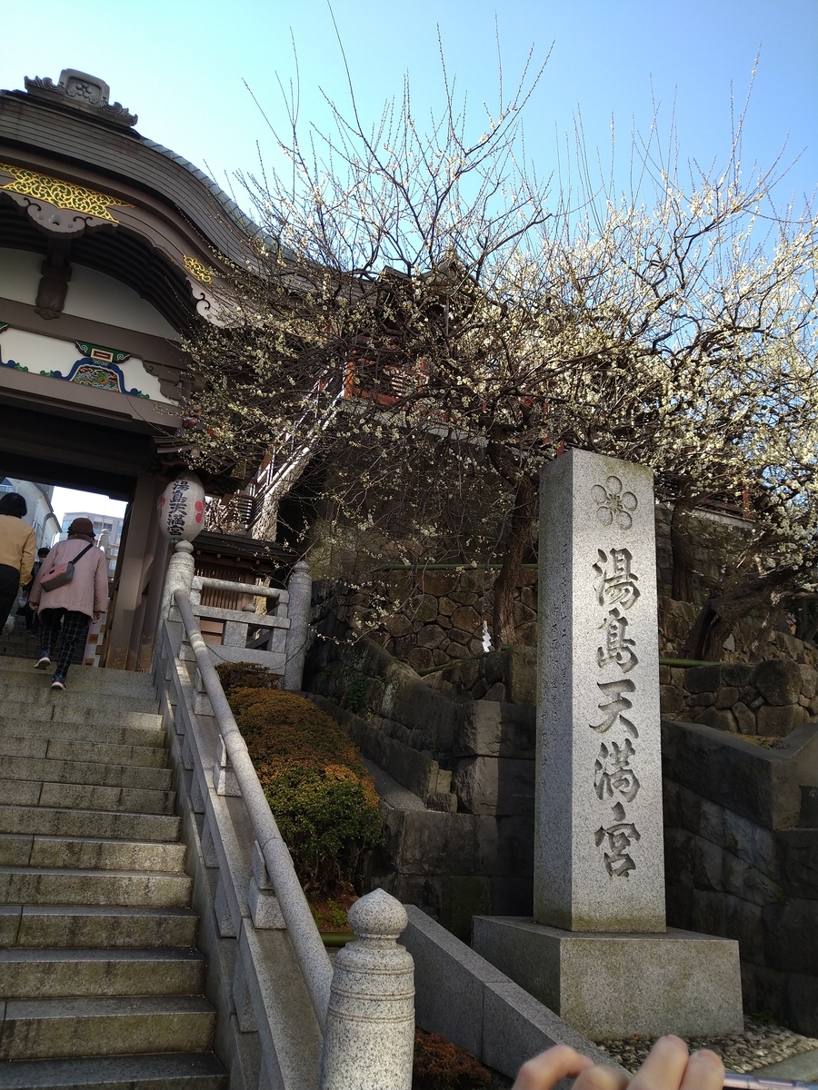 f:id:digibirds:20210220165234j:plain