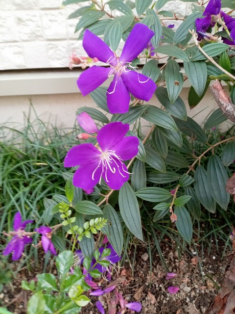 f:id:digibirds:20221021092801j:image f:id:digibirds:20221021092801j:image
