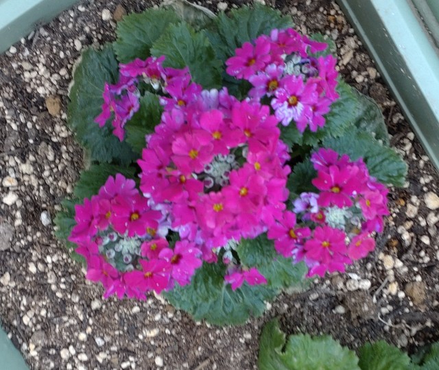 f:id:digibirds:20230107155325j:image