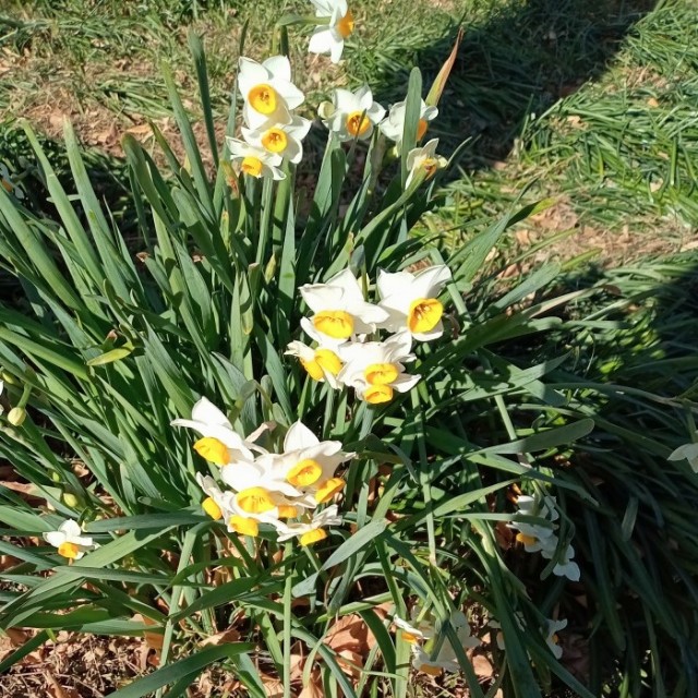 f:id:digibirds:20230108185442j:image