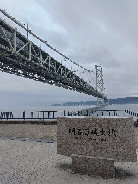f:id:digibirds:20240511202442j:image