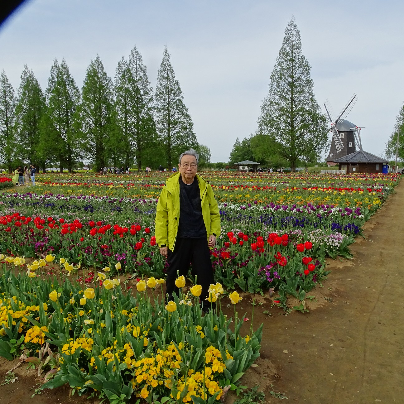 f:id:digibirds:20260417154135j:image